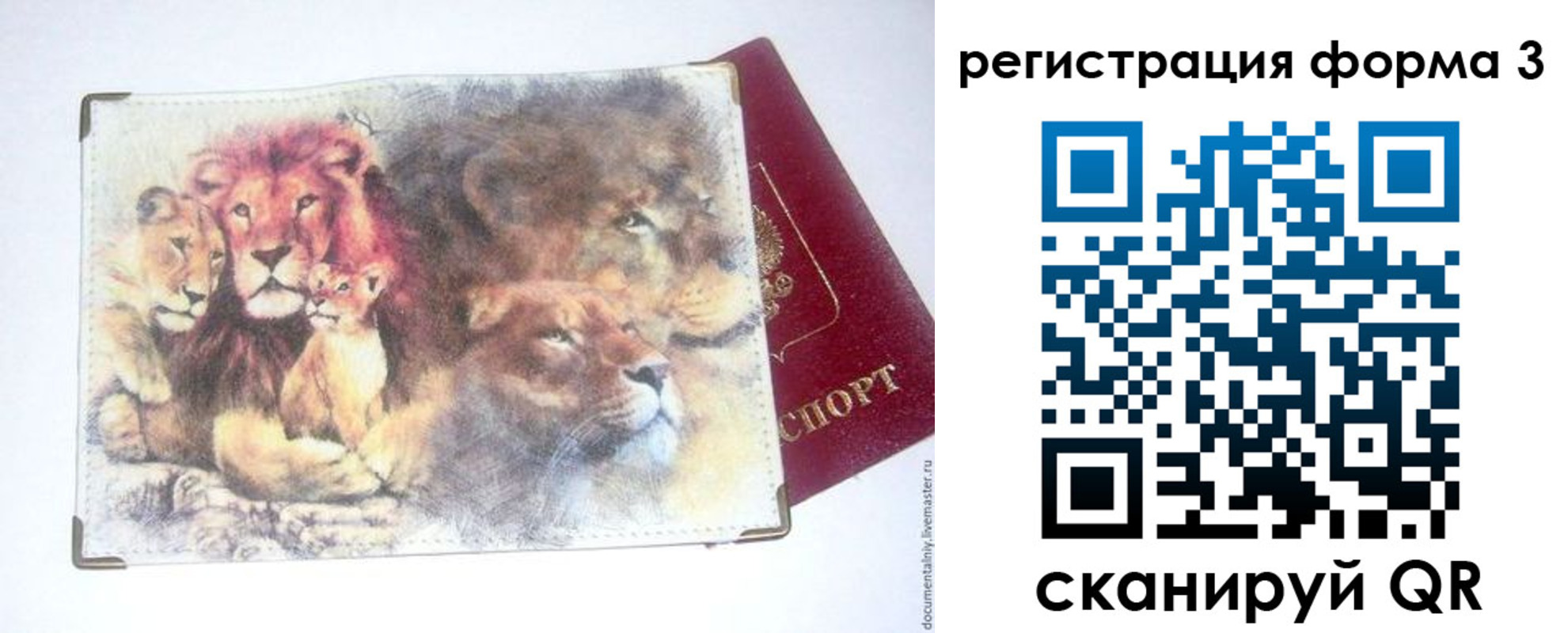 прописка в квартире в Волоколамске